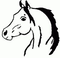 DMair's Avatar