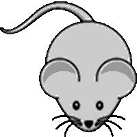 PipMouse's Avatar